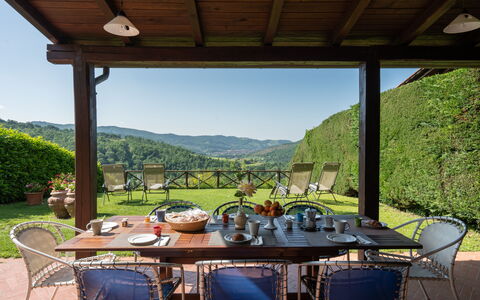 Villa Olivi - Subbiano, Toscana, Pool And Nature: Table, Plante, Propriété, Meubles, Chaise, Ciel, La Nature, Ombre, Porche, Pot De Fleur