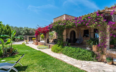 Sa Caseta: L'Eau, Plante, Bâtiment, Jour, Propriété, Piscine, Fenêtre, Ciel, Bleu Azur, La Nature