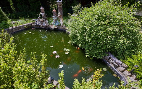 Desná V Jizerských Horách 407: L'Eau, Vert, Cours D'Eau, Arbuste, Jardin, Étang, Étang À Poissons, Caractéristique De L'Eau
