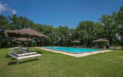 Belvedere - Falceto, Ambra, Toscana: Ciel, Propriété, Plante, L'Eau, Piscine, Ombre, Arbre, Maison, Lot Terre, Herbe