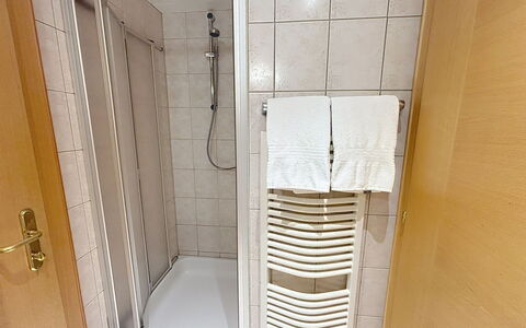 Ischgl 111: Sol, Sol, Design Intérieur, Pièce, Tache De Bois, Linge, Dur, Tuile, Porte De Douche