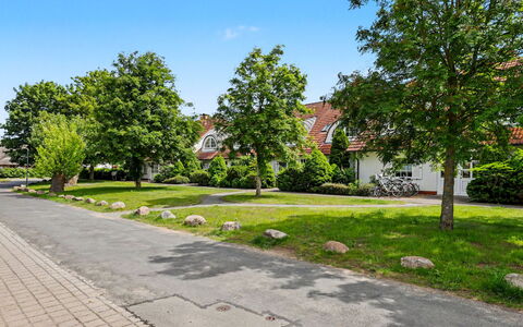 Zempin 160: Arbre, Zone Résidentielle, Surface De La Route, Quartier, Arbuste, Espace Public, Domicile, Trottoir, Établissements Humains