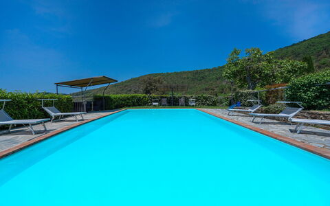 Colle Degli Ulivi - Cortona, Pool, Nature, Privacy: L'Eau, Ciel, Plante, Piscine, Bleu Azur, Rectangle, Bâtiment, Ombre, Maison, Arbre