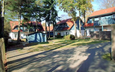 Kluge