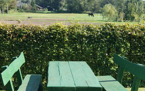 Bredi: Plante, Table, Communauté Des Plantes, Vert, Paysage Naturel, Arbre, Fleur, Lot Terre, Végétation, Mobilier De Jardin