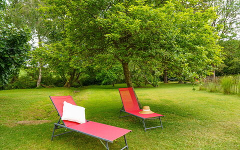 La Torche: Fleur, Plante, Meubles, Propriété, Fenêtre, Bâtiment, Vert, Chaise, Table, Ciel