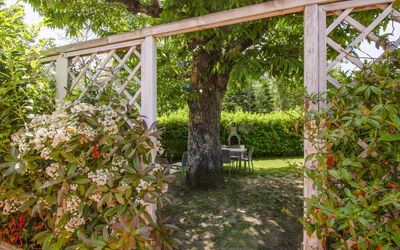 Logement:&nbsp;Giovanna 641.2