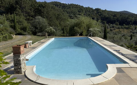 Villa Monticello: L'Eau, Ciel, Ressources En Eau, Piscine, Plante, Bâtiment, Arbre, Ombre, Rectangle, Composite