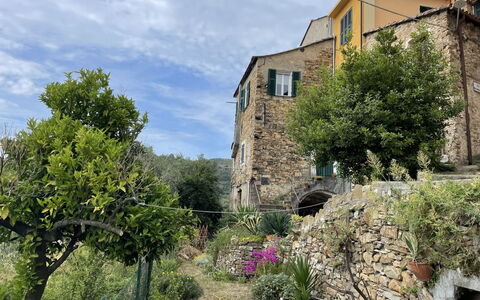 Casa Ferrando: Plante, Ciel, Nuage, Bâtiment, Fenêtre, Communauté Des Plantes, Maison, Végétation, Lot Terre, Arbre