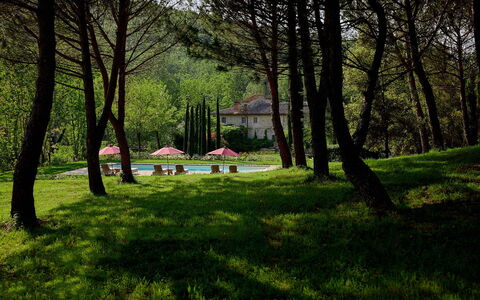 Villa Dell'abate: Plante, Paysage Naturel, Ombre, Botanique, Arbre, Branche, Végétation, Lumière Du Soleil, Lot Terre, Herbe