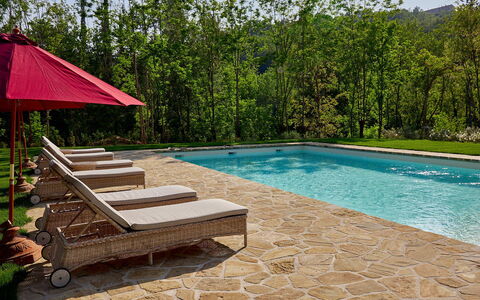 Villa Dell'abate: L'Eau, Plante, Piscine, Arbre, Bois, Ombre, Rectangle, Ciel, Loisir, Mobilier De Jardin