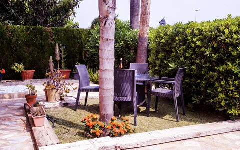 Casa Larauri Oliva Nova: L'Eau, Plante, Piscine, Arbre, Ombre, Mobilier De Jardin, Loisir, Rectangle, Composite, Paysage