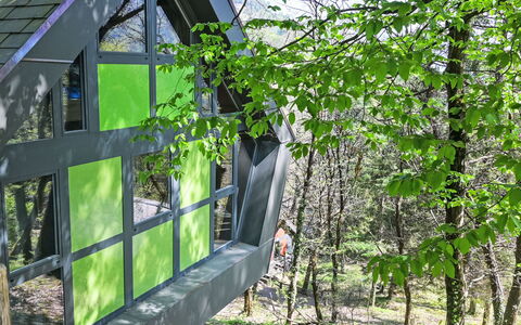 Bosco della Bella 6: Jardin, Des Bois, Batiments Jardin, Ombre, Jungle, Cabanon, Cabane En Rondins, Arrière-Cour