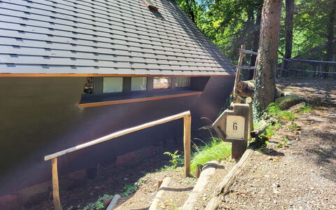 Bosco della Bella 6: Plante, Bâtiment, Fenêtre, Arbre, Bois, Herbe, Ombre, Pente, Maison, Teintes Et Ombres