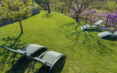 La Casa Dei Glicini - Levanto: Plante, Communauté Des Plantes, Véhicule À Moteur, Paysage Naturel, Roue, Arbre, Lot Terre, Herbe, Arbuste