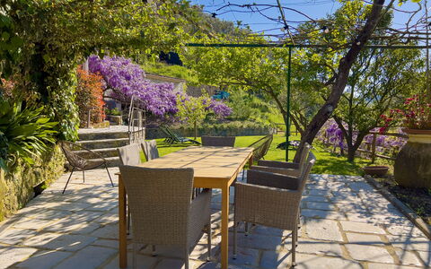La Casa Dei Glicini - Levanto: Plante, Propriété, Ciel, Fleur, Violet, Arbre, Surface De La Route, Tableau De Plein Air, Végétation, Ombre