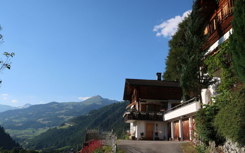 Chalet Bergnest: Fleur, Plante, Communauté Des Plantes, Ciel, Botanique, Pétale, La Nature, Montagne, Paysage Naturel, Végétation
