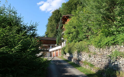 Chalet Bergnest: Fleur, Plante, Communauté Des Plantes, Ciel, Botanique, Pétale, La Nature, Montagne, Paysage Naturel, Végétation
