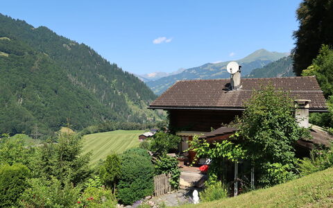 Chalet Bergnest: Fleur, Plante, Communauté Des Plantes, Ciel, Botanique, Pétale, La Nature, Montagne, Paysage Naturel, Végétation