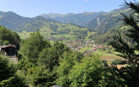 Chalet Bergnest: Fleur, Plante, Communauté Des Plantes, Ciel, Botanique, Pétale, La Nature, Montagne, Paysage Naturel, Végétation