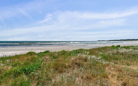 Riitta - 250M from the Sea: Végétation, Arbuste, Printemps, Chalet, Jardin, Ombre, Arrière-Cour, Cour, Chaise
