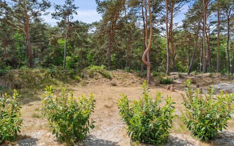 Sjo - 300M from the Sea: Toit, Maison, Lot Terre, Domicile, Chalet, Biens, Batiments Jardin, Ombre, Cabane En Rondins, Aménagement Paysager