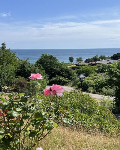 Johanna - 300M from the Sea
