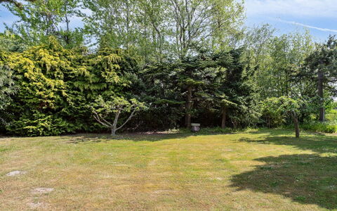 Konrad - 700M from the Sea: Feuille, Arbuste, Jardin, Suppression Des Plantes Ligneuses, Pelouse, Ombre, Aménagement Paysager, À Feuilles Persistantes, Cour