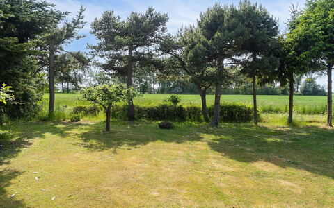 Konrad - 700M from the Sea