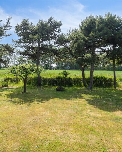 Konrad - 700M from the Sea