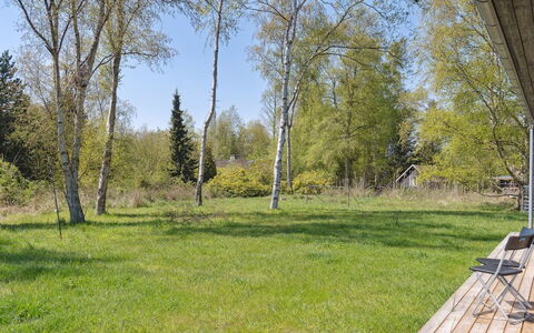 Ivar - 450M from the Sea: Herbe, Vert, Arbre, Feuille, Végétation, Arbuste, Prairie, Lot Terre, Communauté Des Plantes, Couverture De Sol