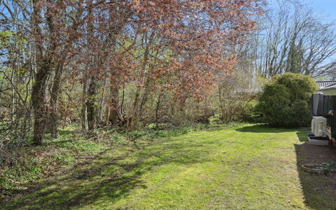 Arnetta - 150M from the Sea: Feuille, Branche, Arbuste, Lot Terre, Couverture De Sol, Brindille, Pelouse, Suppression Des Plantes Ligneuses, Jardin