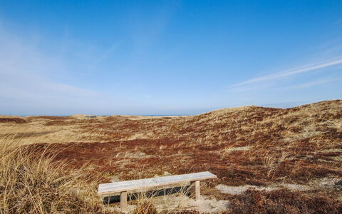 Hilmer - 250M from the Sea: Bleu, Environnement Naturel, Écorégion, Horizon, Prairie, Paysage, Plaine, Marron, Communauté Des Plantes, Steppe