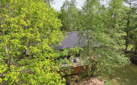Herta: Arbre, Feuille, Environnement Naturel, Branche, Bois, Végétation, Arbuste, Communauté Des Plantes, Brindille, Printemps