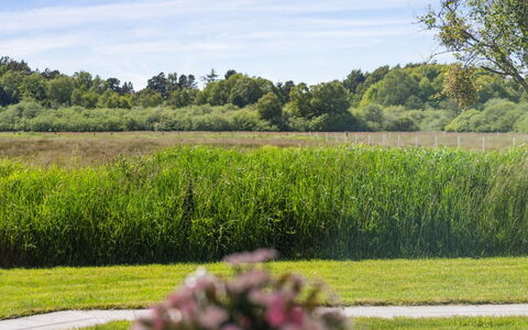 Blondine - 1.4Km from the Sea: Meubles, Canapé, Design Intérieur, Sol, Salon, Sol, Throw Pillow, Pièce, Oreiller