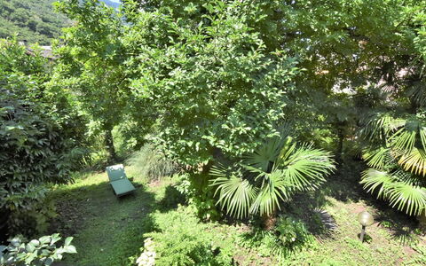 La Casa del Nonno: Meubles, Bois, Design Intérieur, Architecture, Rayonnage, Chaise, Sol, Immobilier, Faisceau, Dur