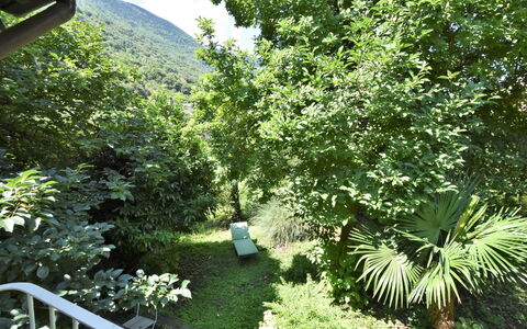 La Casa del Nonno: Meubles, Bois, Design Intérieur, Architecture, Rayonnage, Chaise, Sol, Immobilier, Faisceau, Dur