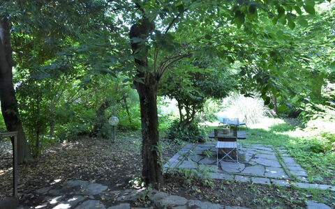 La Casa del Nonno: Meubles, Bois, Design Intérieur, Architecture, Rayonnage, Chaise, Sol, Immobilier, Faisceau, Dur