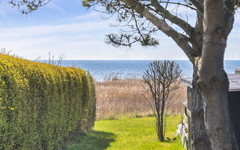 Gisella - 200M from the Sea: Herbe, Prairie, Paysage, Écorégion, Plaine, Communauté Des Plantes, Lot Terre, Mobilier De Jardin, Prairie, Formations Arbustives