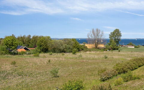 Ika - 450M from the Sea: 
