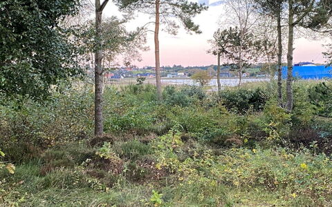 Bosi - 100M to the Fjord: Herbe, Vert, Maison, Chalet, Prairie, Zone Rurale, Écorégion, Paysage, Lot Terre, Arbuste