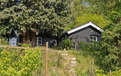 Teijo - 2.5Km from the Sea: Feuille, Branche, Arbuste, Maison, Chalet, Domicile, Zone Rurale, Printemps, Jardin, Ombre