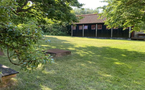 Henke - 100M from the Sea: Herbe, Arbre, Lot Terre, Pelouse, Jardin, Zone Rurale, Couverture De Sol, Ombre, Arrière-Cour