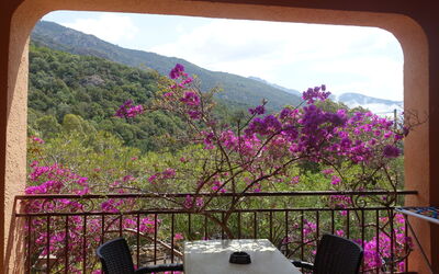 Logement:&nbsp;Residence Cabanaccia Studio 35M² 300.5