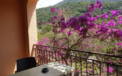 Logement:&nbsp;Residence Cabanaccia Studio 35M² 300.5