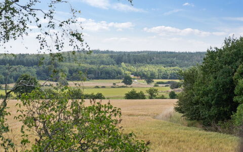 Hansen - 5.2Km from the Sea: Toit, Maison, Lot Terre, Domicile, Chalet, Biens, Batiments Jardin, Ombre, Cabane En Rondins, Aménagement Paysager