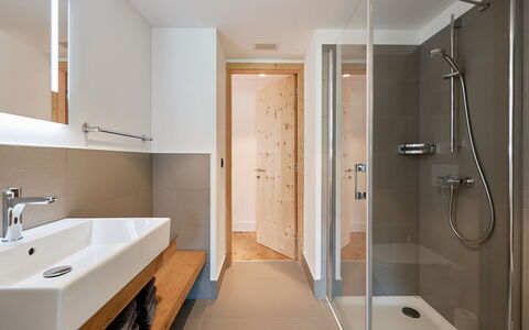 Disentis 50: Robinet, Luminaire Plomberie, Évier, Propriété, Tete De Douche, Bâtiment, Salle De Bains, Douche, Panneau De Douche