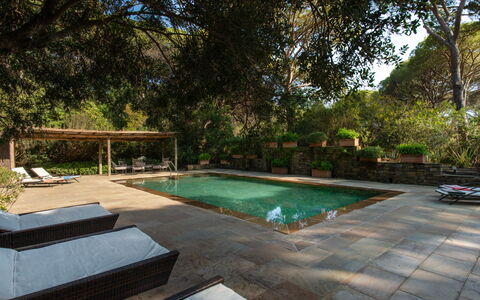 Villa La Pineta: L'Eau, Plante, Propriété, Piscine, Arbre, Mobilier De Jardin, Ombre, Herbe, Loisir, Immobilier
