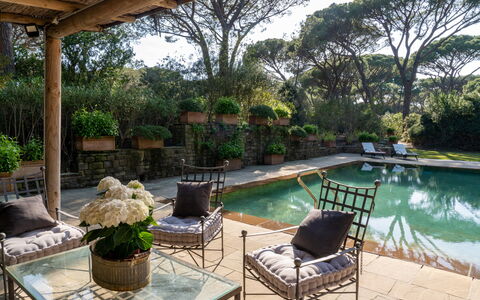 Villa La Pineta: L'Eau, Plante, Meubles, Propriété, Piscine, Arbre, Mobilier De Jardin, Chaise, Pot De Fleur, Ombre