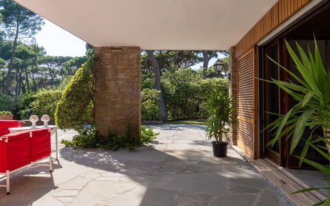 Villa La Pineta: Plante, Propriété, Ombre, Table, Design Intérieur, Arbre, Herbe, Bâtiment, Sol, Mur